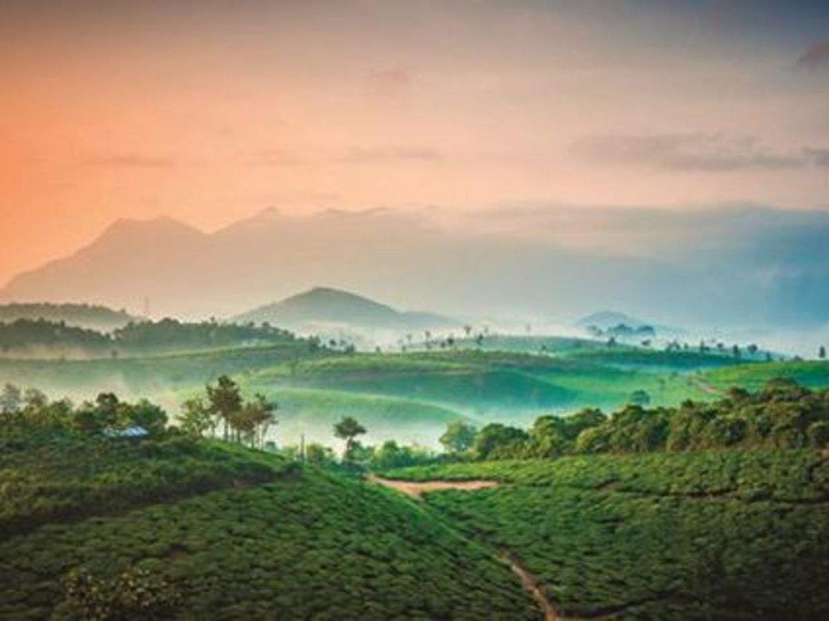 Wayanad,கேரளாவின் அழகிய மலை வாசஸ்தலம் வயநாடு சுற்றுலா தளத்திற்கு  பயணிக்கலாம் வாருங்கள்! - best places to visit in wayanad kerala tourism -  Samayam Tamil