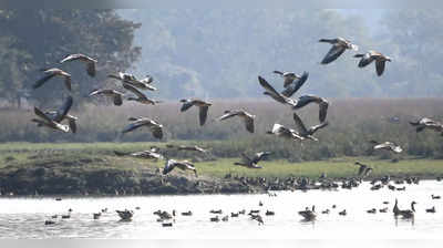 ಉಪ್ಪೂರಿನಲ್ಲೊಂದು ಮಿನಿ ಪಕ್ಷಿ ಧಾಮ