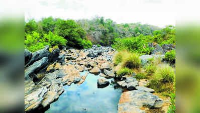 ದುಡ್ಡು-ಟೈಮ್‌ ಉಳಿತು...