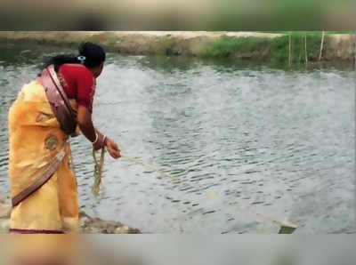 মাছ চাষে সেরা হলদিয়ার আরতি