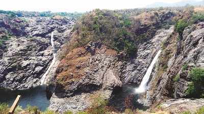 ವಿಖ್ಯಾತ ಗಗನಚುಕ್ಕಿ ಜಲಪಾತ ನೀರಿಲ್ಲ