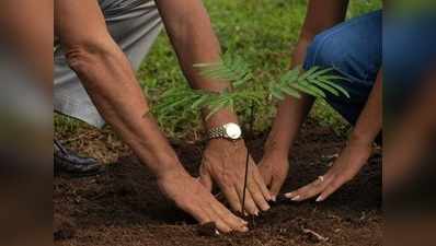 तमिलनाडु: वृक्षारोपण में खर्च हुए सैकड़ों करोड़ रुपये, बचे सिर्फ 20 फीसदी पौधे