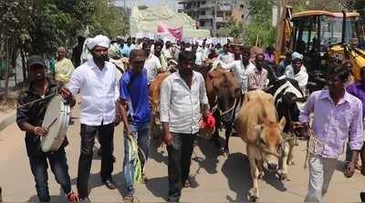 ಜಾನುವಾರುಗಳೊಂದಿಗೆ ಸಿಎಂ ನಿವಾಸಕ್ಕೆ ಪ್ರತಿಭಟನೆ