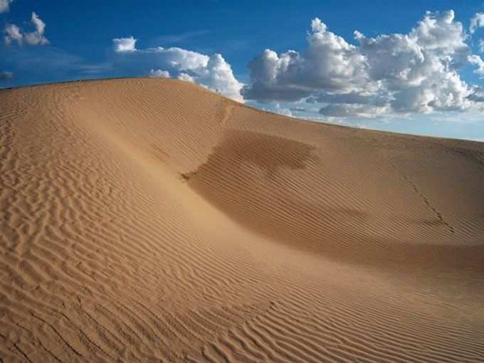 Samalayuca Dune Fields (Mexico)