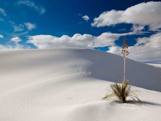 White Sands National Monument (New Mexico, United States)