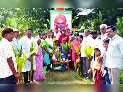 ಸಿದ್ದಗಂಗಾ ಶ್ರೀ ಹುಟ್ಟುಹಬ್ಬ: 111 ತೆಂಗಿನ ಸಸಿ ವಿತರಣೆ