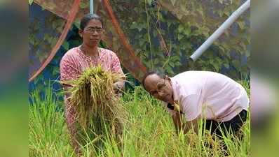 ತಾರಸಿ ತುಂಬ ವೈವಿಧ್ಯ ಬೆಳೆಗಳ ಸಿರಿ