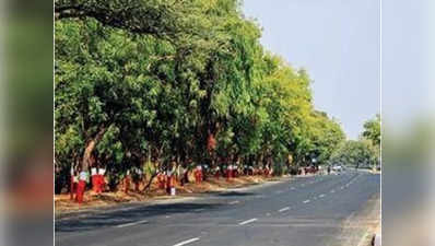 वीआईपी रोड को चौड़ा करने के लिए 8 हजार पेड़ काटे जाने का प्रस्ताव