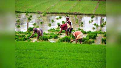हर जिले में नई कृषि प्रणाली विकसित करेगी यूपी सरकार