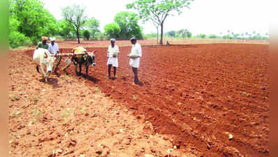 ಜಿಲ್ಲಾದ್ಯಂತ ಉತ್ತಮ ಮಳೆ: ಕೃಷಿ ಚಟುವಟಿಕೆ ಚುರುಕು