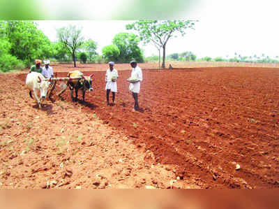 ಜಿಲ್ಲಾದ್ಯಂತ ಉತ್ತಮ ಮಳೆ: ಕೃಷಿ ಚಟುವಟಿಕೆ ಚುರುಕು