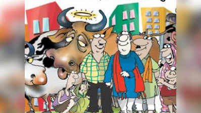 गाय-भैंस पालने के लिए शहर में खुलेंगे पीजी