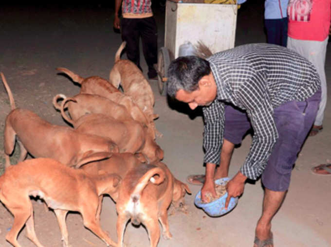 कागजों पर असली मालिक का नाम दर्ज