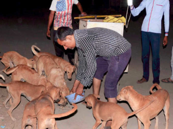 सदियों पुरानी जीवदया प्रथा