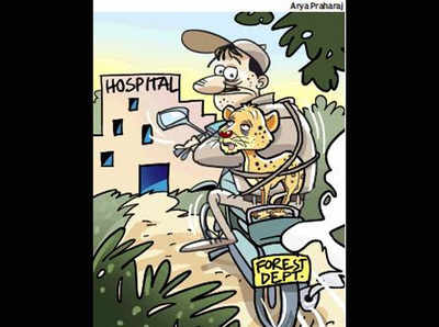 पिंजरा आने में हो रही थी देरी, बाइक पर बीमार तेंदुए को बिठाकर अस्पताल ले गए वनकर्मी