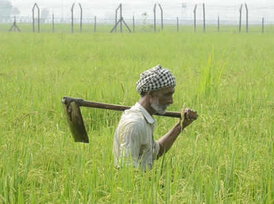 तेलंगाना: 50,000 दलितों के पास लाखों एकड़ जमीन, फिर भी गरीबी रेखा से नीचे