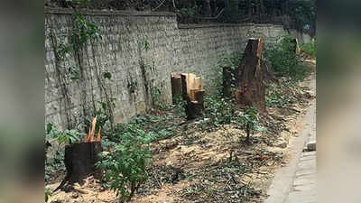पोलीस वसाहतसाठी ३२ वृक्षांची तोड