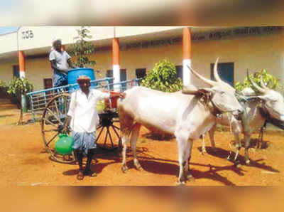 ಸಸಿಗಳಿಗೆ ನೀರು ನಾಗಯ್ಯರ ಉಸಿರು !