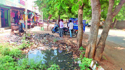 ಮಡಹಳ್ಳಿ ರಸ್ತೆ ಈಗ ಅನೈರ್ಮಲ್ಯ ತಾಣ