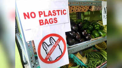Plastic Ban: प्लास्टिक बंदीला स्थगितीस नकार