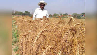 यूपीः 78 पार भी किसानों की बेहतरी के लिए कर रहे काम