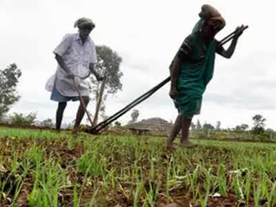 farmers: शेतकरी कर्जमाफी योजनेला मुदतवाढ