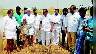 ಭತ್ತದ ಗದ್ದೆಯಲ್ಲಿ ರಾಜಕಾರಣಿಗಳ ಬೈಠಕ್‌!