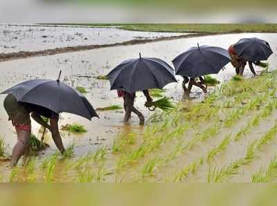 இந்த ஆண்டு போதிய மழைப்பொழிவு உறுதி: வானிலை மையம்