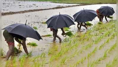 இந்த ஆண்டு போதிய மழைப்பொழிவு உறுதி: வானிலை மையம்