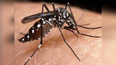 डेंगू से मौत होने पर दर्ज होगा गैर इरादतन हत्या का मामला