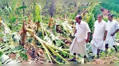 ಬೇಸಿಗೆ ಮಳೆ: ವ್ಯಾಪಕ ನಷ್ಟ