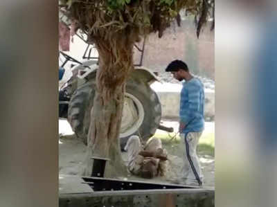 कुशीनगर: बुजुर्ग बीमार बाप को पेड़ में बांध कर पीटता रहा बेटा