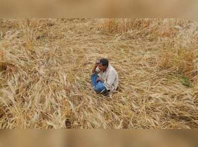 കര്‍ഷകർ മാത്രമല്ല ആത്മഹത്യ ചെയ്യുന്നതെന്ന് മധ്യപ്രദേശ് കൃഷി മന്ത്രി