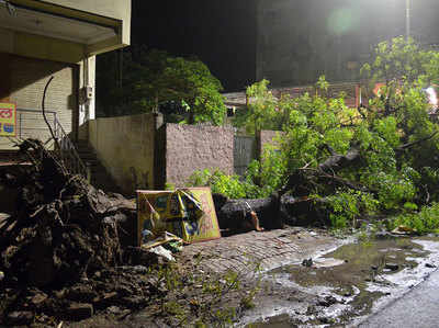 तूफान के बाद यातायात बाधित-बिजली गुल, चार की मौत