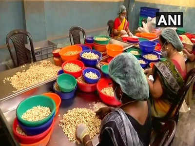 केरल का काजू उद्योग संकट में, 700 में से सिर्फ 10 फैक्ट्रियां बचीं