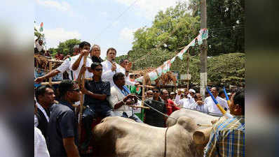 कर्नाटक चुनाव: बैलगाड़ी और साइकल पर चढ़ राहुल गांधी का पीएम मोदी पर वार