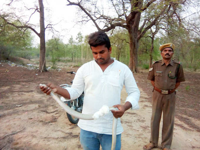 తాచుపాముతో చదలవాడ క్రాంతి