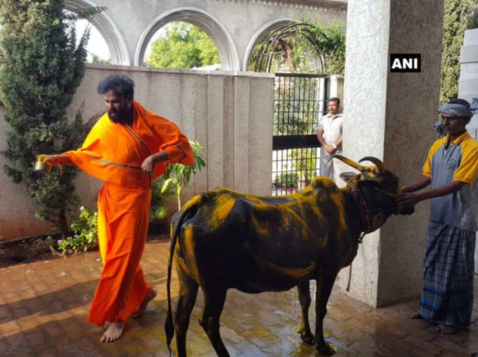 गाय की पूजा करते बीजेपी उम्मीदवार श्रीरामुलु