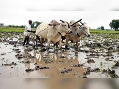 ‘రైతుబంధు’ విరాళాలకు ఆన్‌లైన్ వేదిక ఇదిగో..