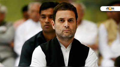 Rahul Gandhi: কর্নাটকের ফলে রাহুলের রাজনৈতিক বোধ নিয়ে প্রশ্ন