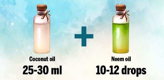 नारियल तेल और नीम का तेल
