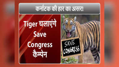 Congress की लगातार हार से परेशान हुए बाघ, चलाया Save Congress Campaign