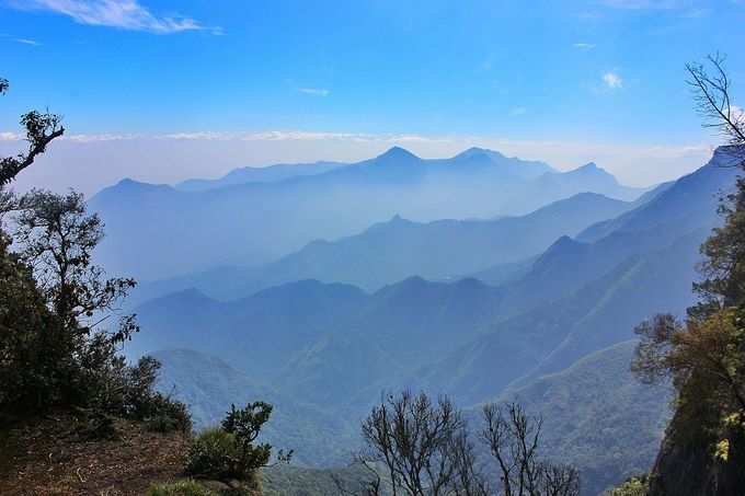 Blue_Kodaikanal