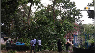 ফের জোড়া কালবৈশাখীর দাপটে লন্ডভন্ড শহর, জেলাও