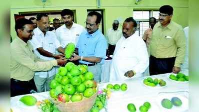 ಬೆಳಗಾವಿಯಲ್ಲಿ ಮಾವು ಮೇಳ ಆರಂಭ