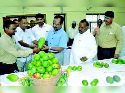 ಬೆಳಗಾವಿಯಲ್ಲಿ ಮಾವು ಮೇಳ ಆರಂಭ