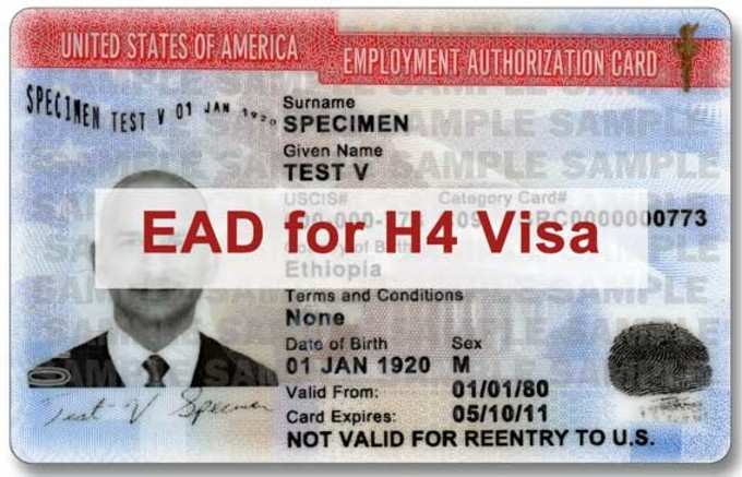 H4 visa