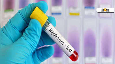 Nipah Virus: কেরালায় নিপাহ ভাইরাসে আক্রান্ত মৃতের সংখ্যা বেড়ে দাঁড়াল ১১