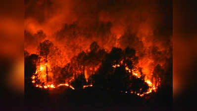 उत्तराखंड के जंगलों में भीषण आग के कारण वन्य संपदा को भारी नुकसान