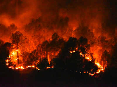 उत्तराखंड के जंगलों में भीषण आग के कारण वन्य संपदा को भारी नुकसान